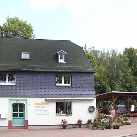 Fewo -Schiefe- Marie Oberlungwitz Eksteriør bilde