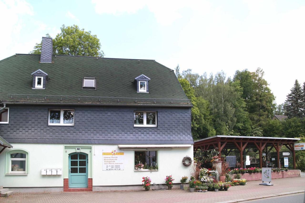 Fewo -Schiefe- Marie Oberlungwitz Eksteriør bilde